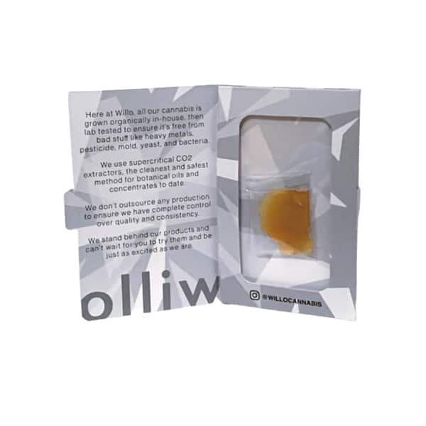 81061454 WILLOW shatter 1