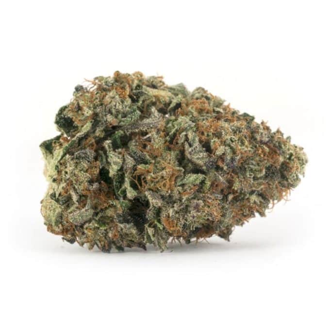 DEATH BUBBA