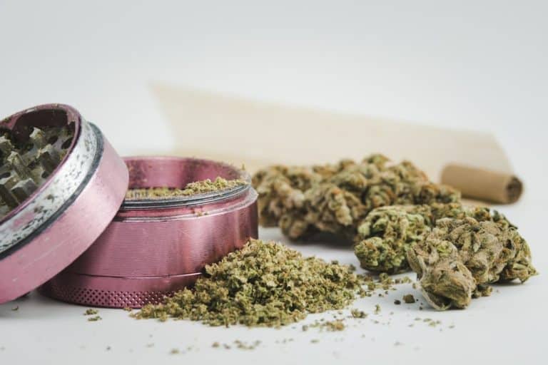 A Weed Grinder Guide - How Much Does A Grinder Cost? - KingCrop