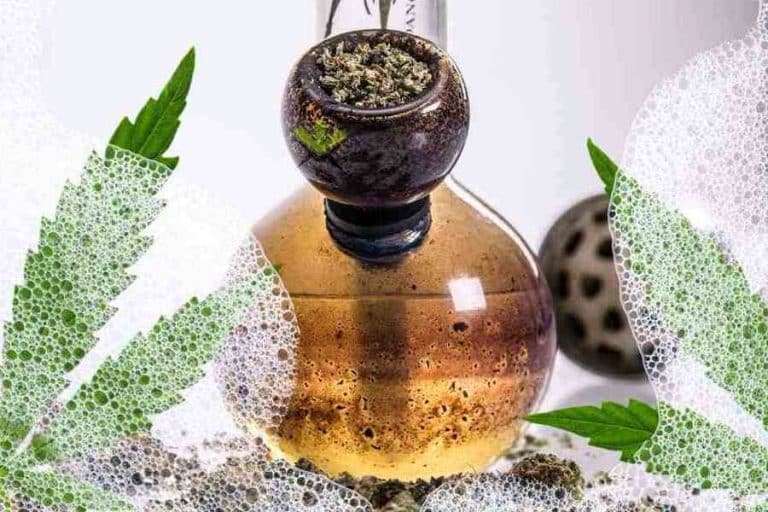 How To Clean A Plastic Bong KingCrop