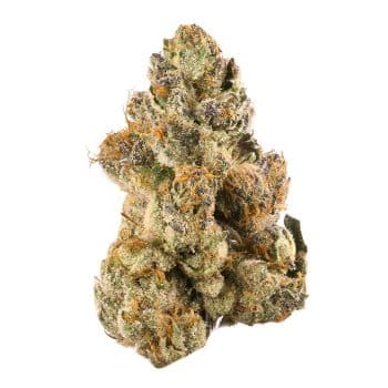 Runtz delivery GTA AAA cannabis strain KingCrop same day