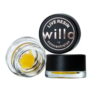 willo LiveResin 1800x