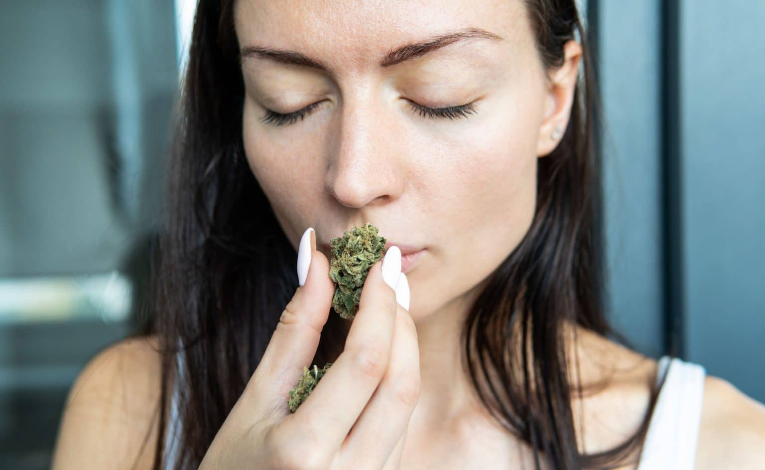 How to Get Rid of Weed Smell: Top Tips to Eliminate the Odor - KingCrop