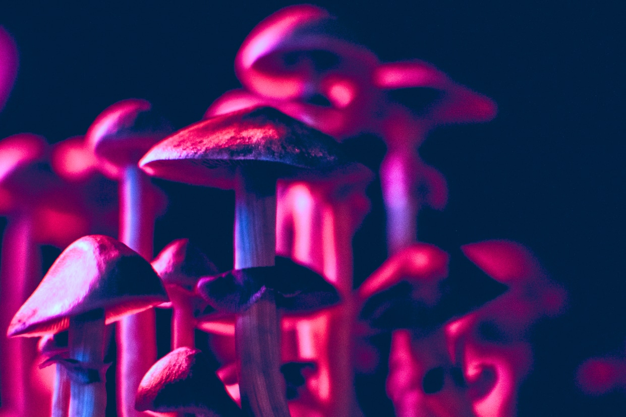 Magic mushrooms always last just long enough for you to get the best out of the effect