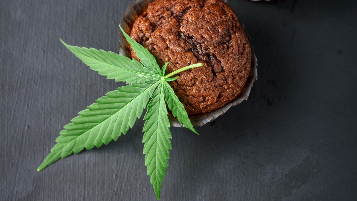 Duration, Effects, and Everything You Need to Know about Edibles