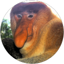 KurtisChan profile picture