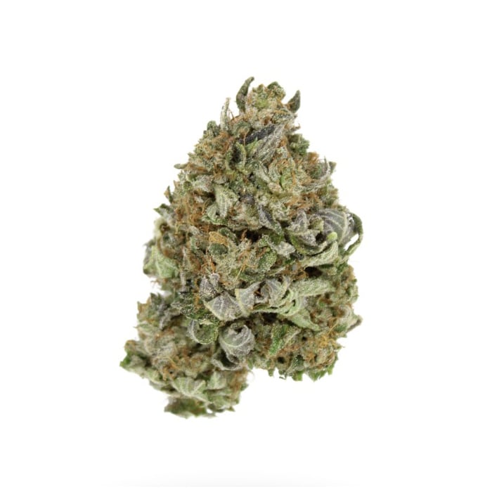 frozen-gelato
