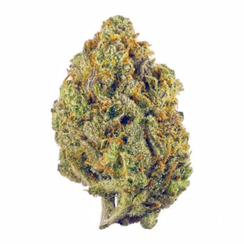 Purple Gelato