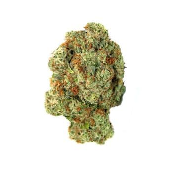 Blackberry Pie