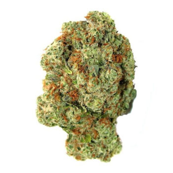 Blackberry Pie