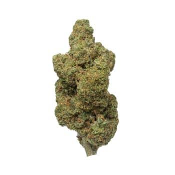 Durban Poison Strain