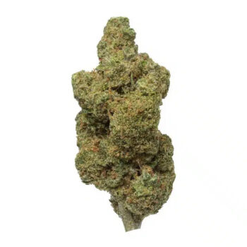 Durban Poison Strain