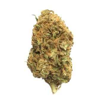 Jolly Rancher