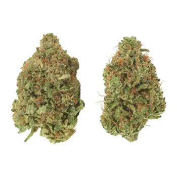 Pink Tuna