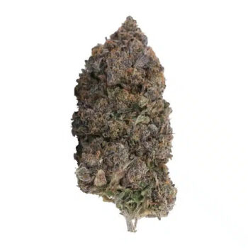 Pink Tuna