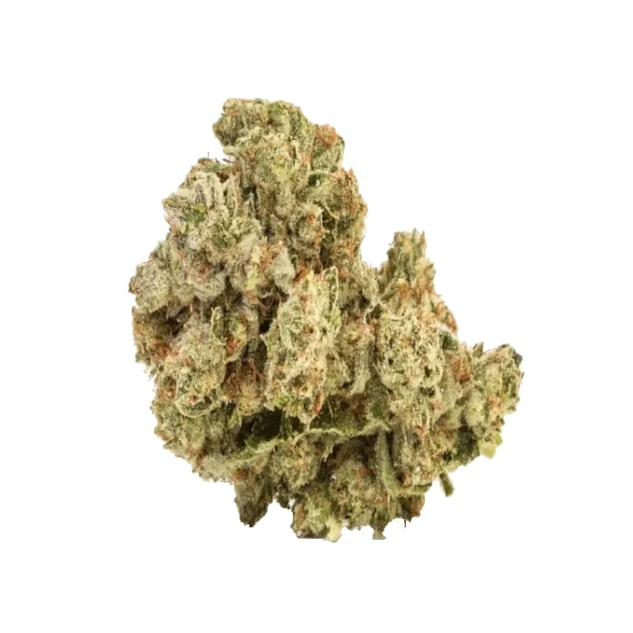purple-queen