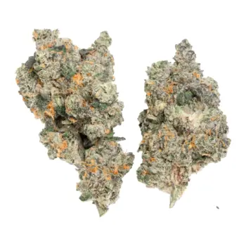 BANANAS & BLOW
