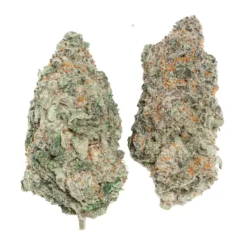 LSO Blackberry