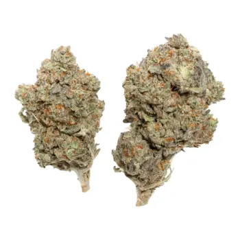 Pink Gelato