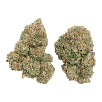 Pink Rockstar