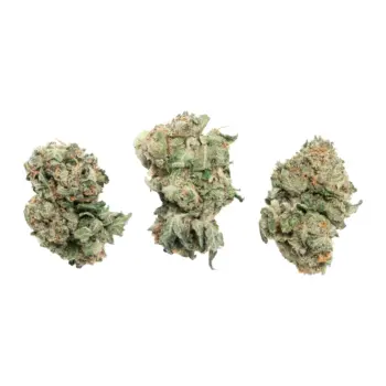 Pink Rockstar Smalls