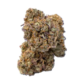 Platinum Oreos AAA hybrid flower, full ounce
