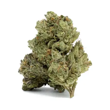 Tropical Gas
